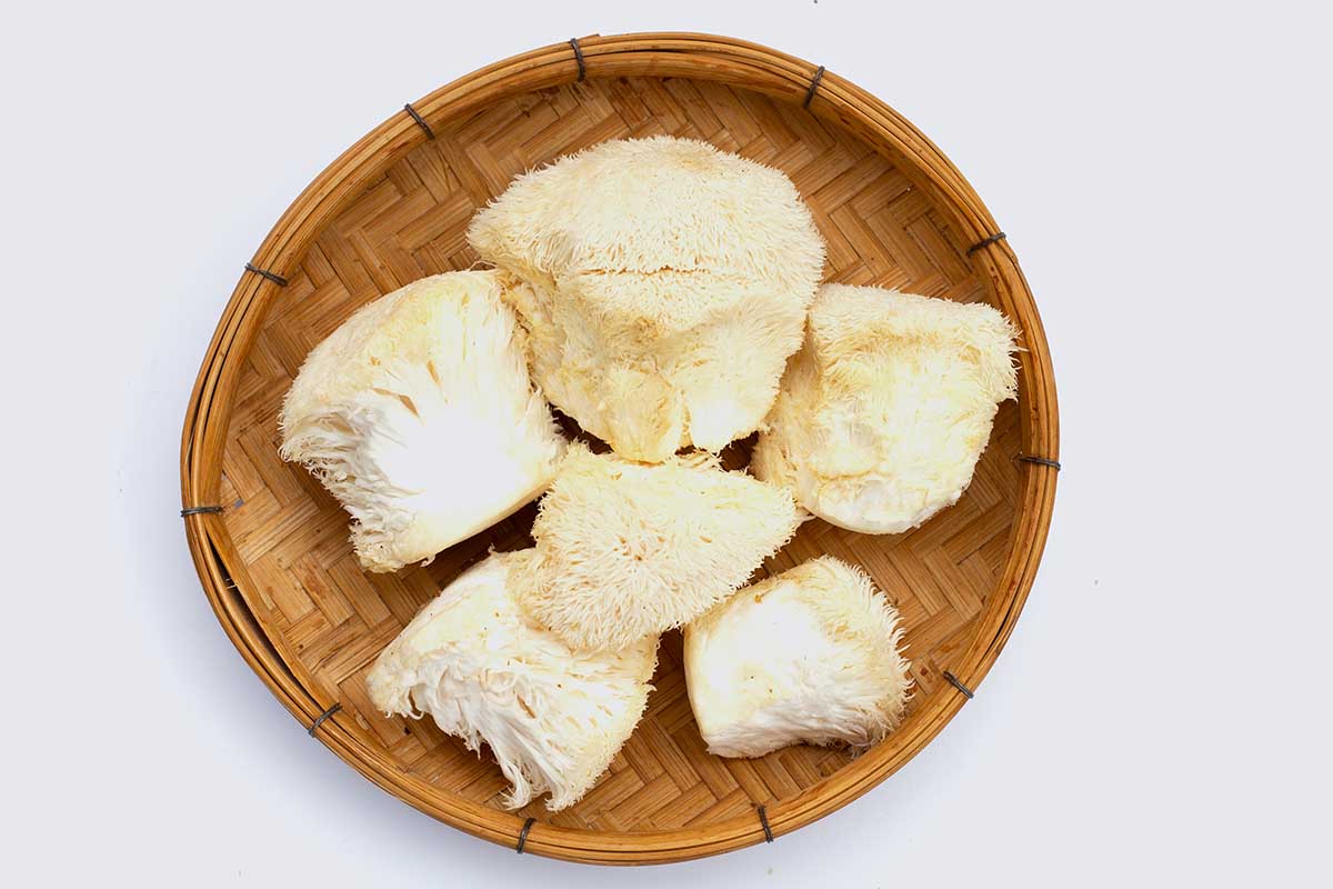 Sautéed Lion’s Mane Mushrooms with garlic and herbs served on a white plate